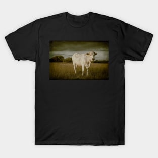 Bullock#5 T-Shirt